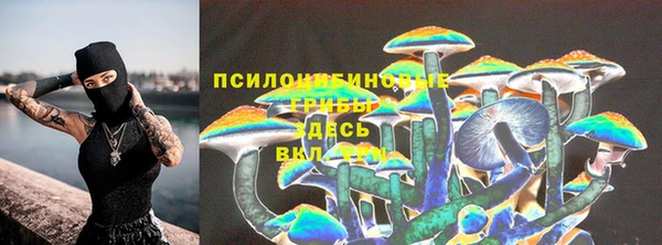 мет Россошь