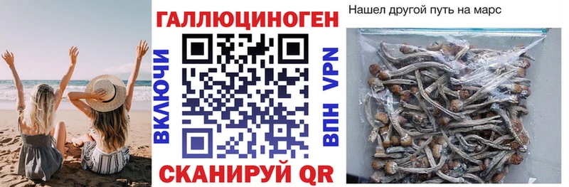 Псилоцибиновые грибы Magic Shrooms Малмыж